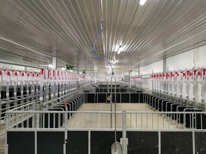 INN-O-FLEX penning for sows and boars