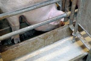 Liquid-feeding