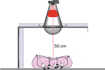 LAMPE-med-grise Maal