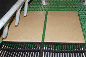 Polymer plate for sows