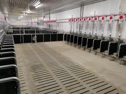 INN-O-FLEX penning for sows and boars