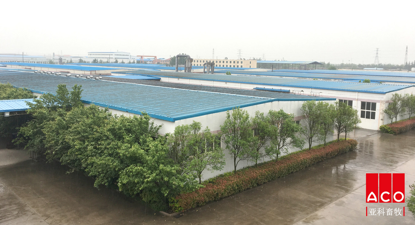 Offica And Stock Facilities Qingdao