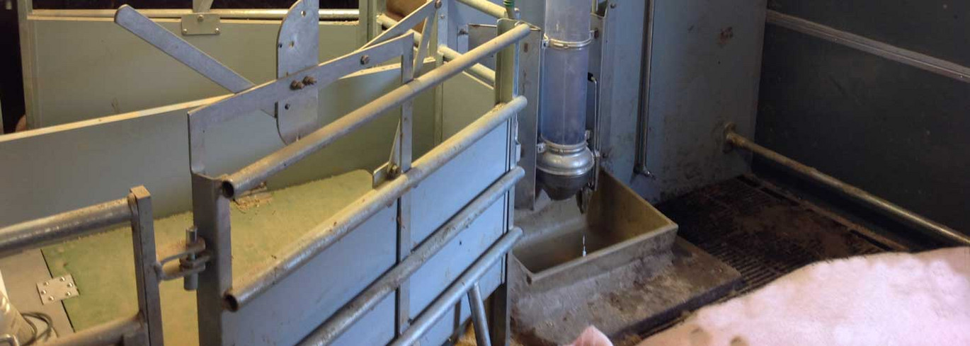 Combifeeder Sowsandweaners