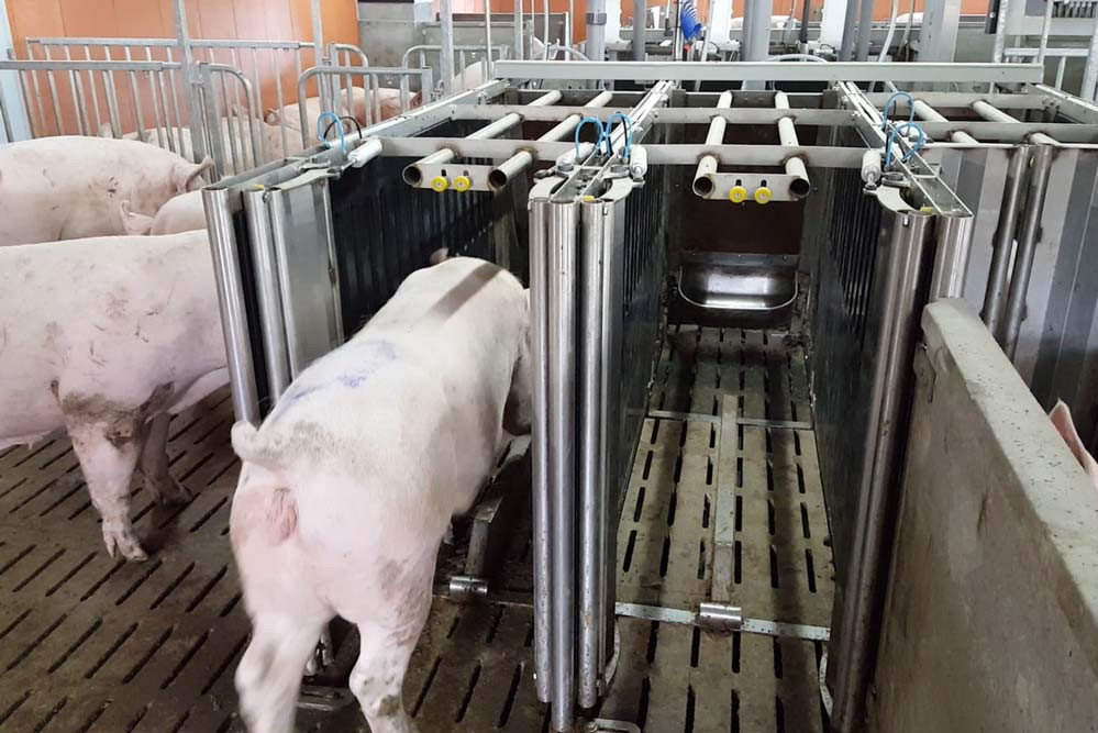 Feeding control
