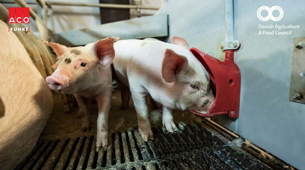 Milk Feeding System